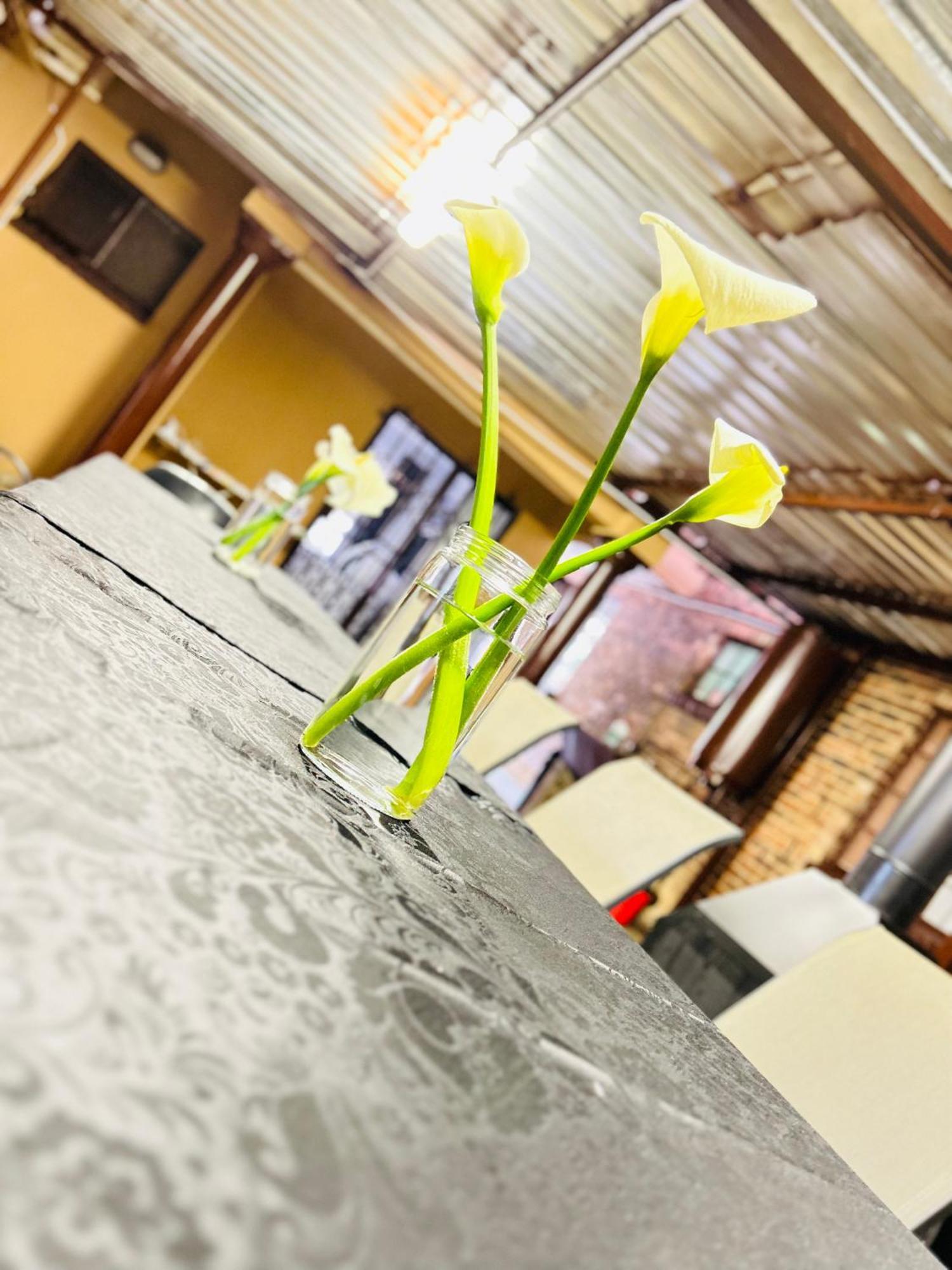 Duvha Guesthouse Graskop Ngoại thất bức ảnh